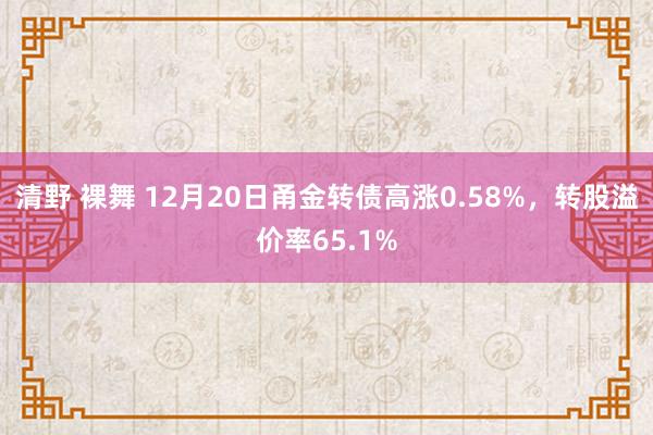 清野 裸舞 12月20日甬金转债高涨0.58%，转股溢价率65.1%