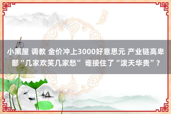 小黑屋 调教 金价冲上3000好意思元 产业链高卑鄙“几家欢笑几家愁” 谁接住了“泼天华贵”？
