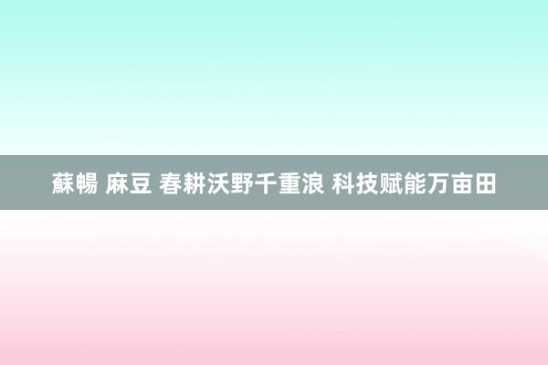蘇暢 麻豆 春耕沃野千重浪 科技赋能万亩田