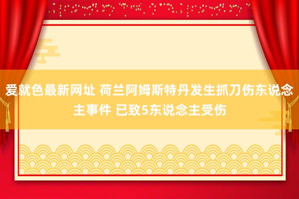 爱就色最新网址 荷兰阿姆斯特丹发生抓刀伤东说念主事件 已致5东说念主受伤