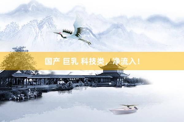 国产 巨乳 科技类，净流入！