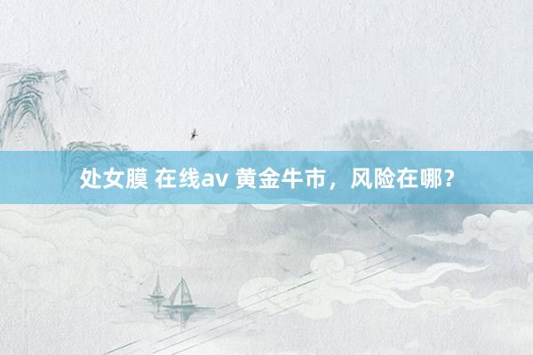 处女膜 在线av 黄金牛市，风险在哪？