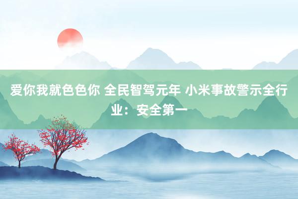 爱你我就色色你 全民智驾元年 小米事故警示全行业：安全第一