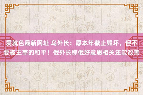 爱就色最新网址 乌外长：愿本年截止毁坏，但不要被主宰的和平！俄外长称俄好意思相关还能改善
